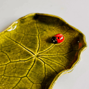 Ladybug Leaf