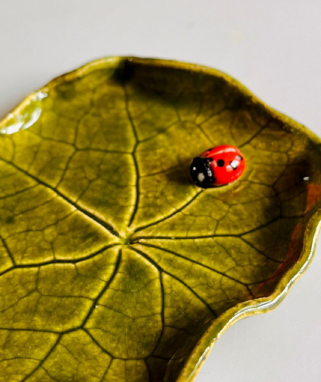 Ladybird1 Ladybird1